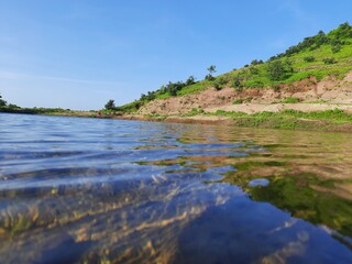 Obraz premium river in the forest