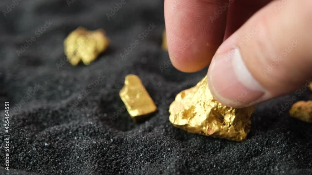 Wall mural man's hand is considering holding gold ore from mine on a black sand background.