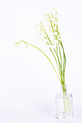 Bouquet of fresh beautiful lilies of the valley in a glass vase