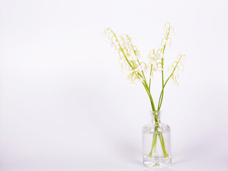 Bouquet of fresh beautiful lilies of the valley in a glass vase