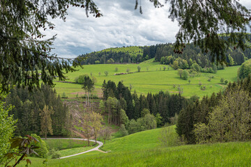 Schwarzwald