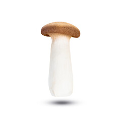 Orinji Mushrooms on white isolated background