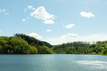 lake and forest landscape - 435466389
