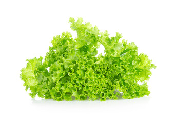 Obraz premium Lettuce isolated on white background. Salad leaf.