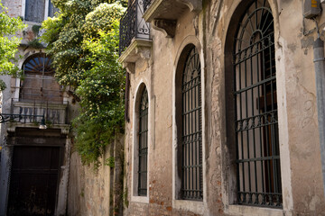 Fototapeta premium Blurred image of blooming streets of post Covid Venice. City of Italy during quarantine of coronavirus desease with yellow blooming plant. Venecia 