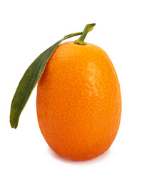 Ripe kumquat fruit