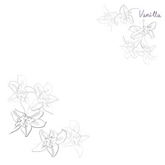 vanilla outline sticker vector illustration