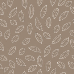 cocoa fruit vector seamless pattern