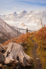 The Floe Lake Trail in Fall