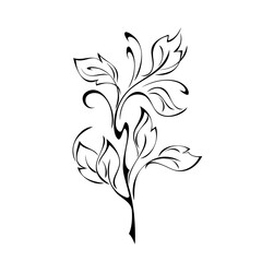 ornament 1778. unique stylized twig with leaves and curls in black lines on a white background