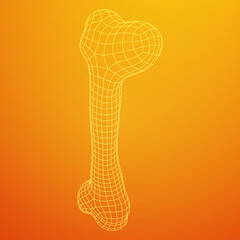 Anatomy Dog Bone object. Wireframe low poly mesh vector illustration