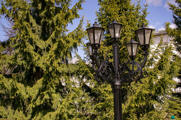 Vintage cast-iron street lamps on a background of green fir trees. Vertical and horizontal concept.