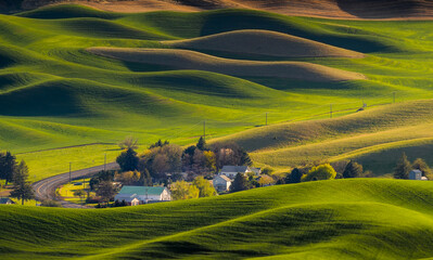 Washington Palouse. A spectacular view from Steptoe Butte State Park of the surrounding farmland...