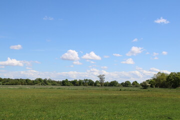 Wandern auf den Nordpfaden im Landkreis Rotenburg W&uuml;mme - Nordpfad W&uuml;mmeniederung (Hinking in northern Germany) | Blauer hoher Himmel (blue wide sky)