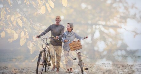 Composition of senior couple walking with bicycles on beach and autumn foliage