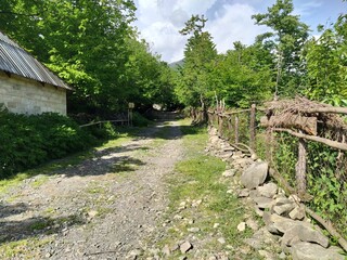 Village trail. Path in the village. Village road with green trees