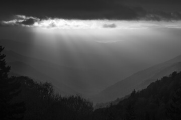 Sunrise in black and white