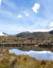 Fototapeta na wymiar Landscapes of the Los Nevados National Natural Park in Manizales, Caldas, Colombia. 