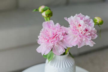 Living room interior. Bouquet of pink peonies in a vase on the background. Cozy. Spring. Home.