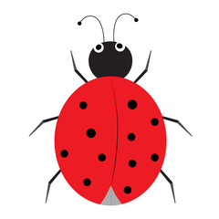 Ladybug, polka dot insect