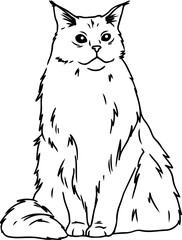 Cute cats. Vector illustration in black and white, portrait of a cat, cat head vector sketch illustration
