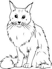 Obraz premium Cute cats. Vector illustration in black and white, portrait of a cat, cat head vector sketch illustration 