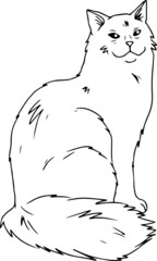 Cute cats. Vector illustration in black and white, portrait of a cat, cat head vector sketch illustration
