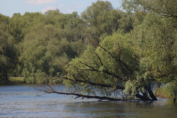 Mezinsky National Nature Park, Ukraine