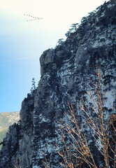 A flock of geese flying over the snowy Ai-Petri mountain, blue tinted, Crimea, Gaspra region