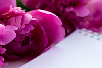 beautiful pink peony and paper close.Holiday postcard.Holiday concept,8 march,mothers day.Top view,Place for text