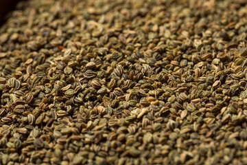 Raw Organic Celery Seeds