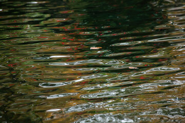 Abstraction in water