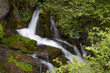 Fototapeta na wymiar Waterfall among vegetation.