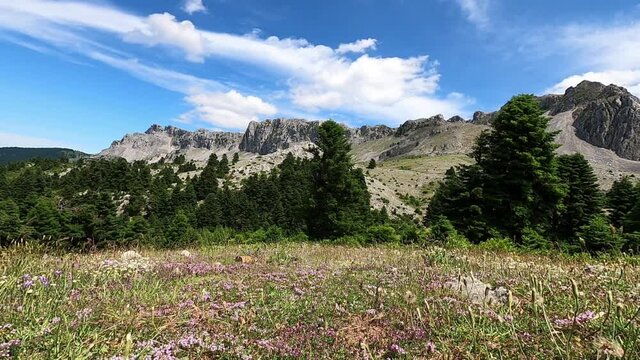 4k time-lapse mountain scene in Evvia (Euboea) island, Greece, in Spring