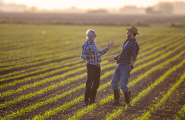 Two happy farmers standing in corn field talking.