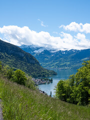 Fototapeta na wymiar Natur in der Region Interlaken