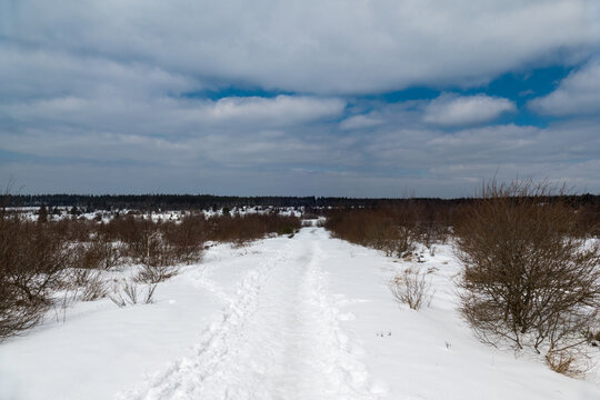 Belgium, Hautes Fagnes, entrance to the promenade from the Botrange signal