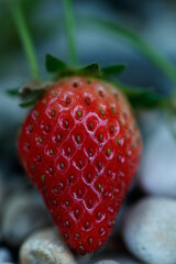 close up of strawberry