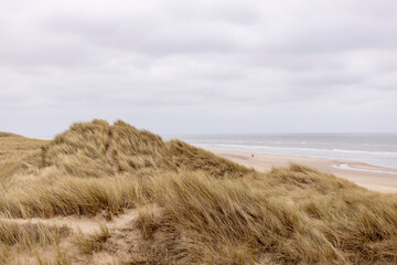 Dutch dune landscape on overcast day with helm grass growing on the tops for firmness and footsteps crossing the landscape with the North sea in the background