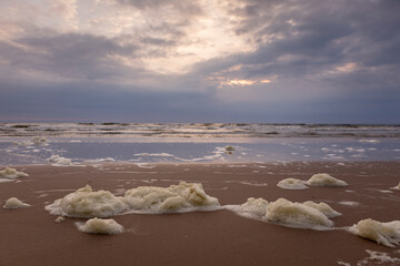 Washed up sea foam flocks stranded on Dutch pristine North sea beach during sunset mirroring the...