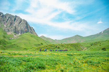 Fototapeta premium landscape with grass in mountains