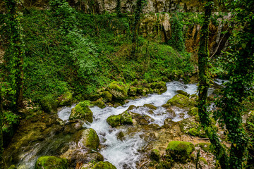 Obraz premium Les Gorges du Nant à Cognin-les-Gorges