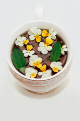 A beautiful white cup with a gold border decorated with flowers, herbal green healthy tea. Business account design.