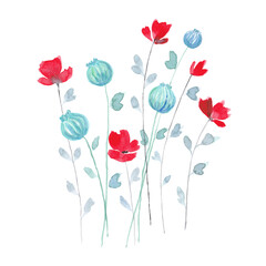 Poppies. Hand drawn watercolor illustration.