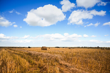 haystack on the meadow in summer . Harvest gathering concept. Rural landscape