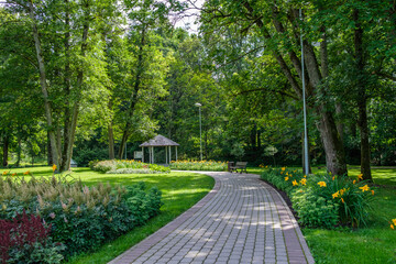 tourism pathway in the summer green park