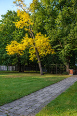 tourism pathway in the summer green park