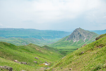 mountain landscape in summer