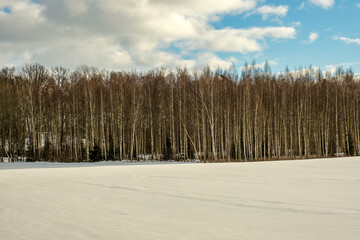 snow covered fields in winter near forest