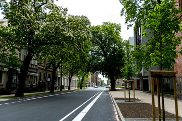 Freshly build bicycle lane in the city,Bike path. Sign white paint on the pavement. Summer. bicycle traffic sign painted on the asphalt.
